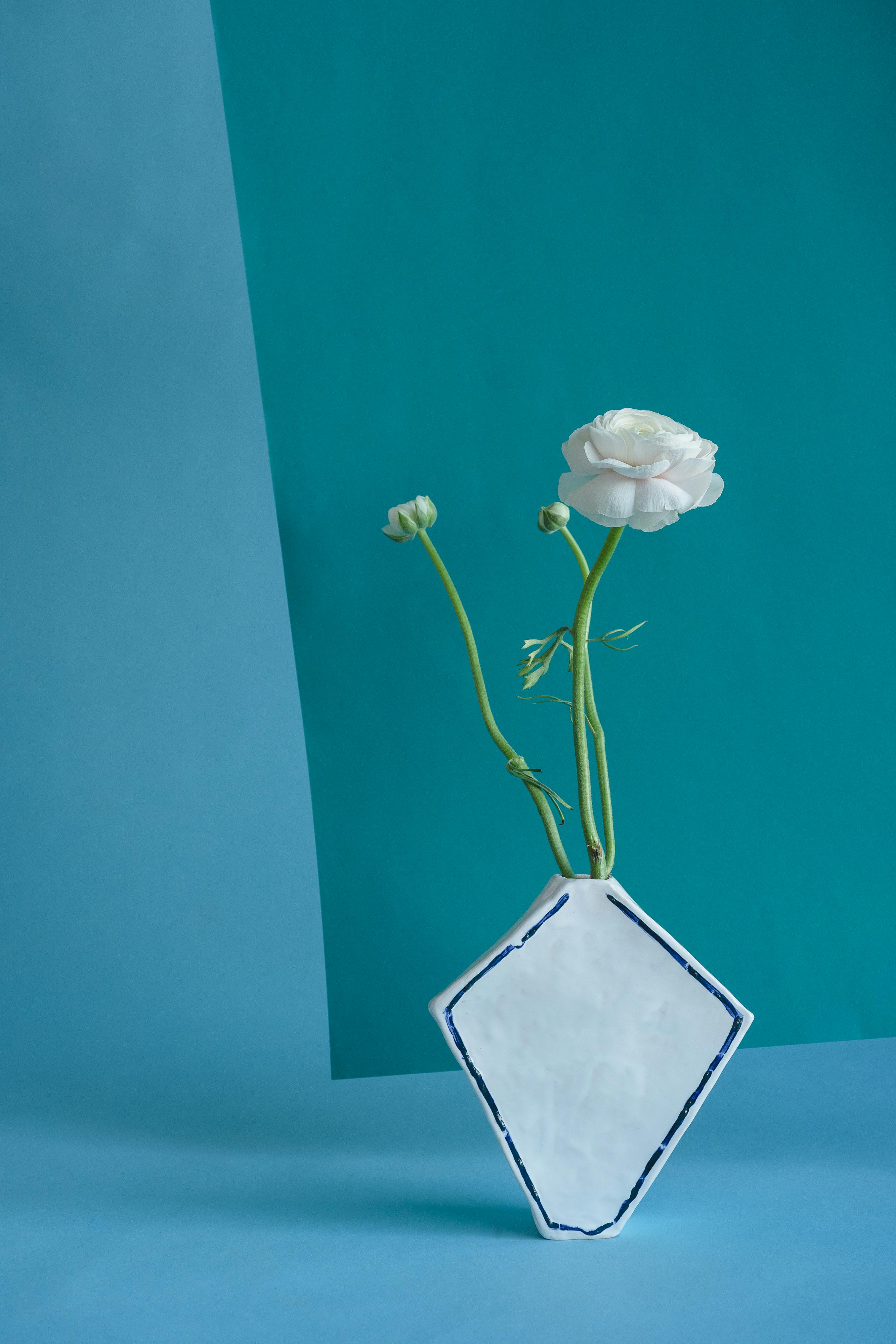 White ranunculus in diamond shaped vase on teal background