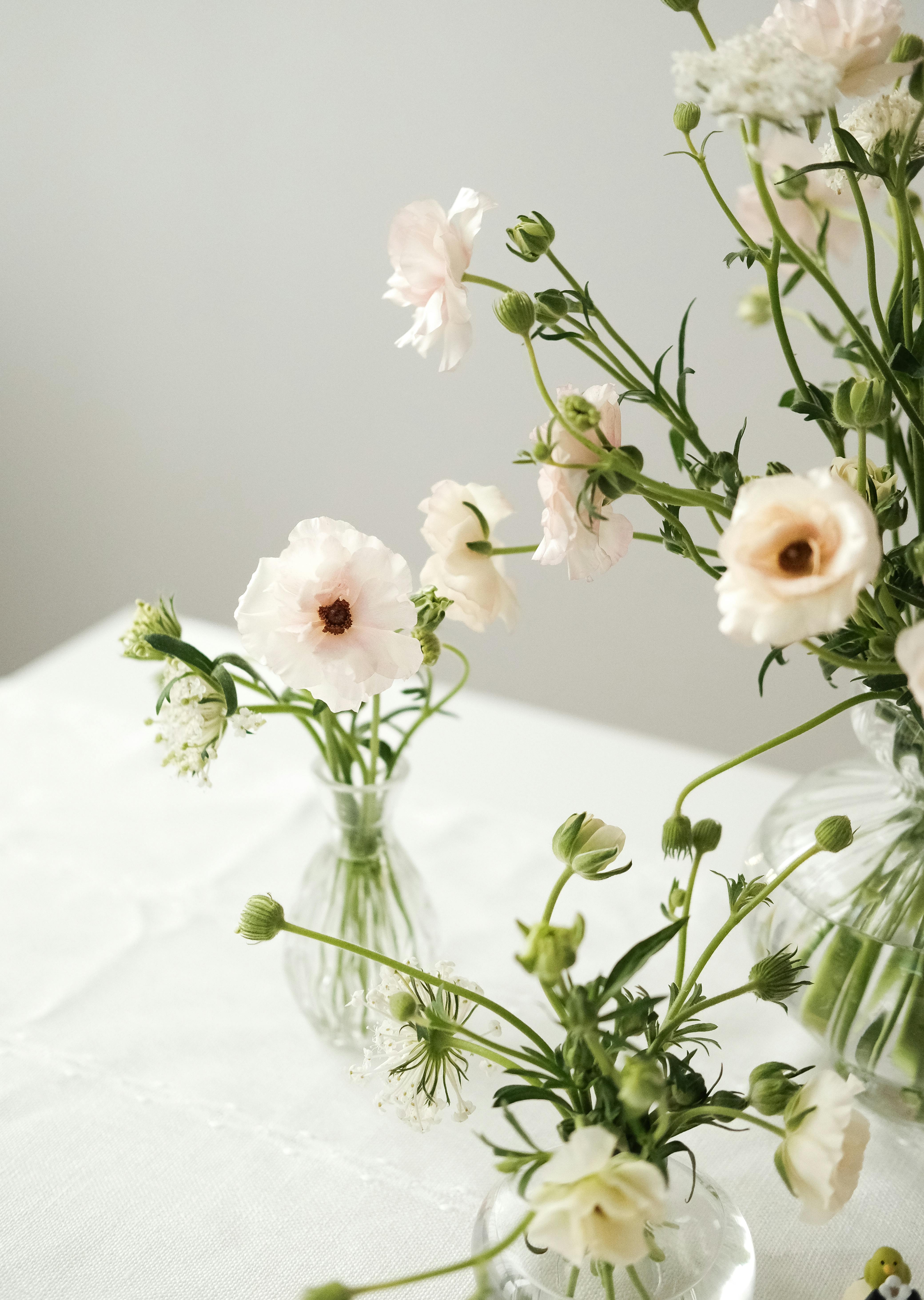 Soft pink cosmos flowers in glass bud vases on white table
