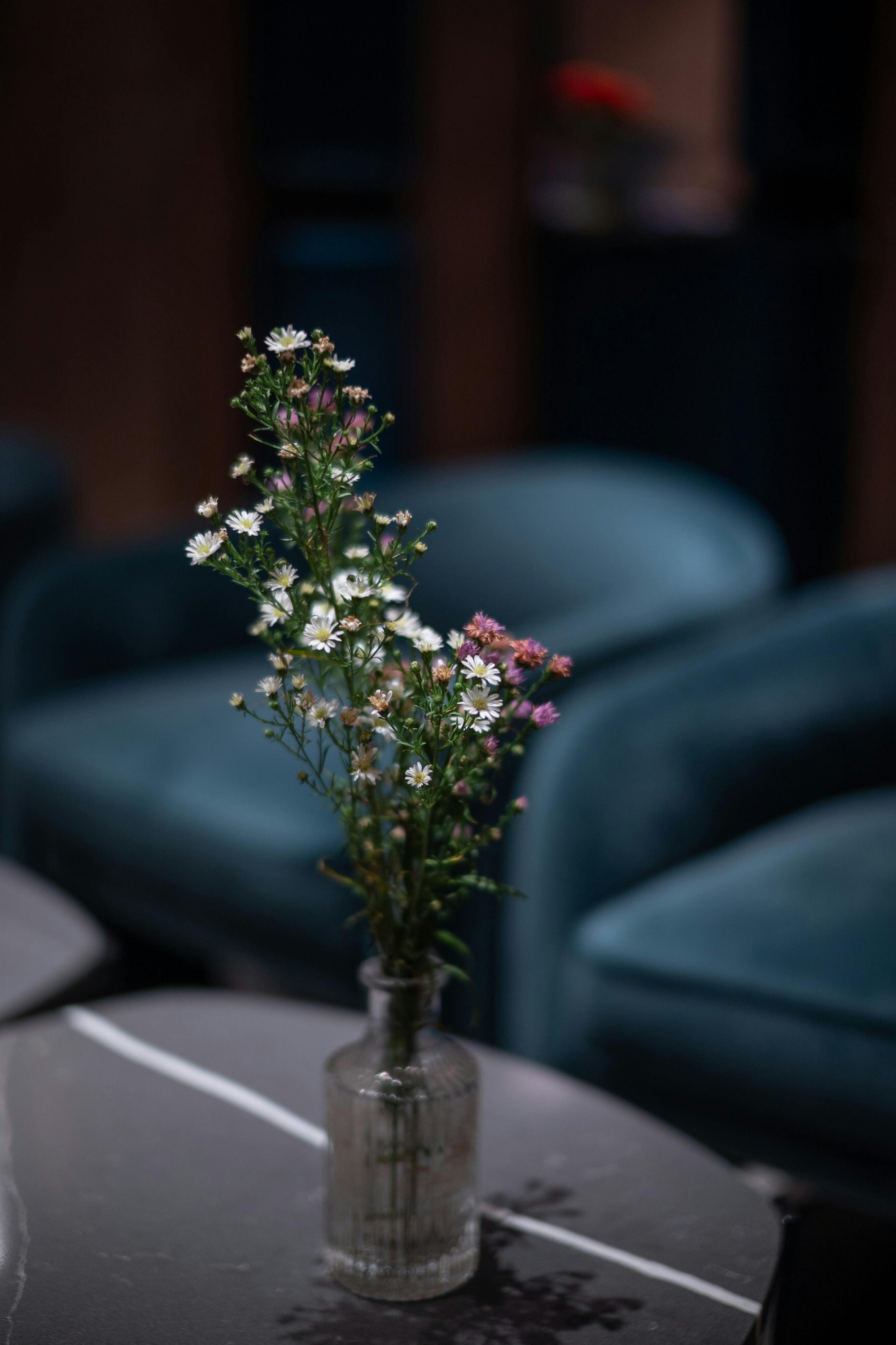 Wild daisy stems in glass bottle at café