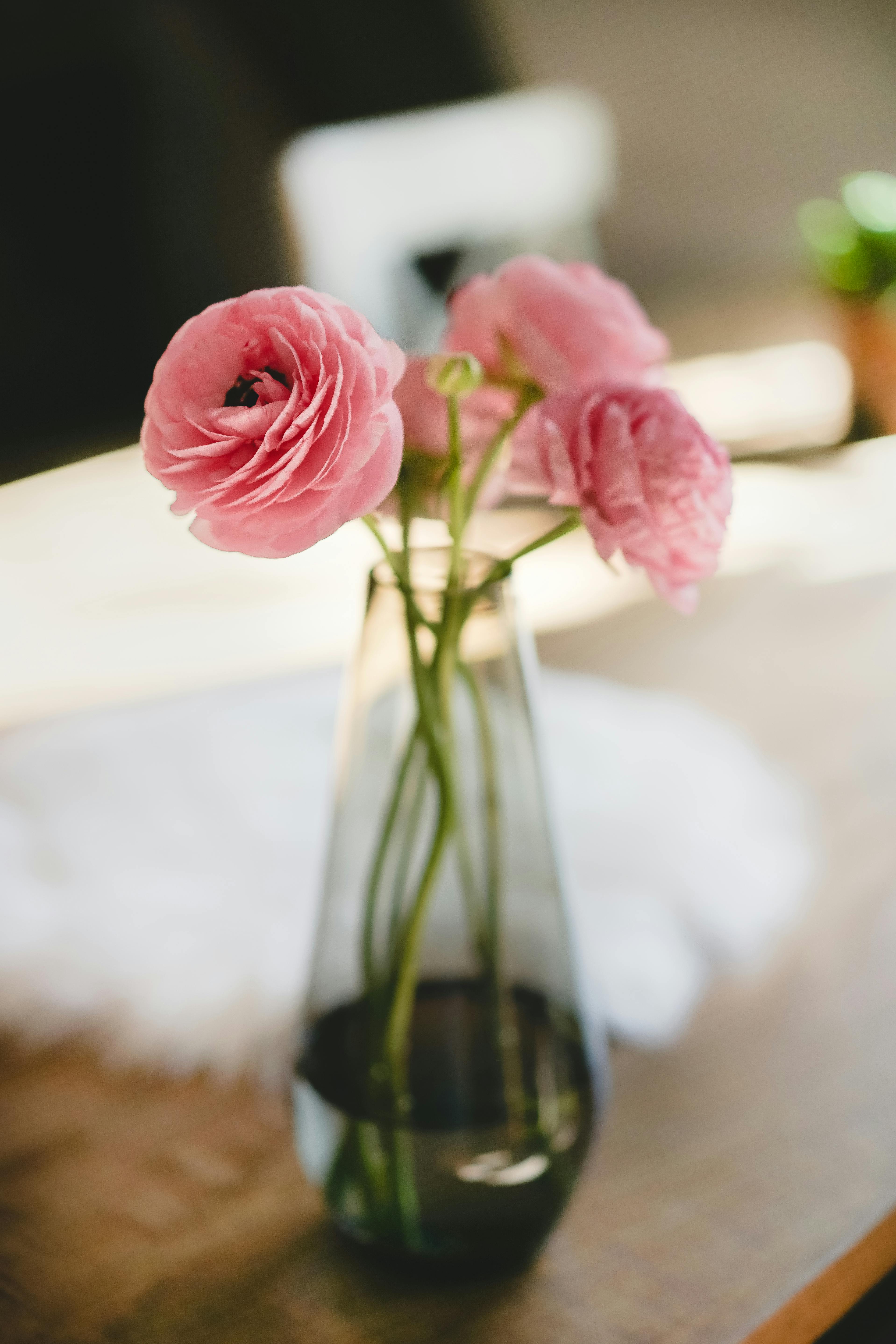 Pink ranunculus in dark glass bud vase